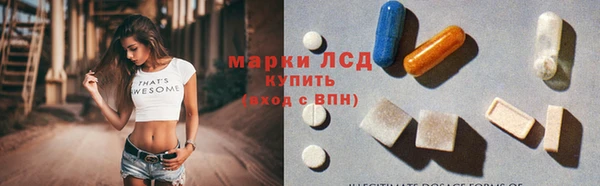 прущие грибы Коряжма