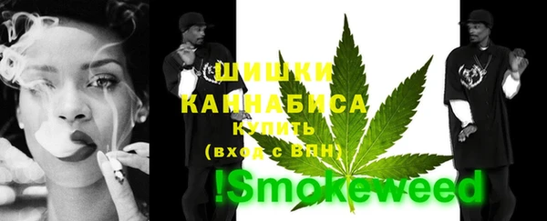 прущие грибы Коряжма