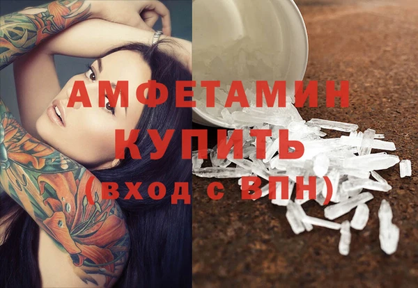 прущие грибы Коряжма