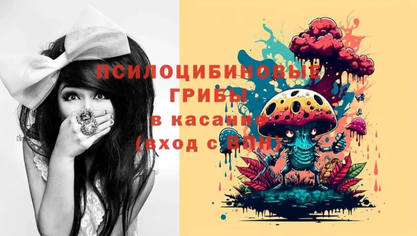 прущие грибы Коряжма