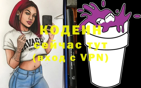 прущие грибы Коряжма