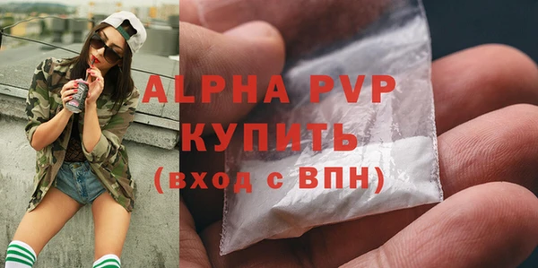 прущие грибы Коряжма