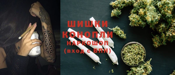 прущие грибы Коряжма